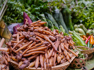 Kaempferia is sold on vegetable stalls.