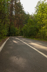 Fototapeta na wymiar Asphalt road with markings runs through the forest in summer day