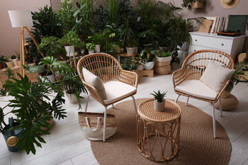Room interior with stylish furniture and different houseplants