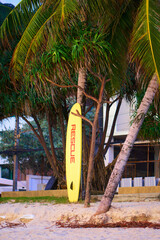 RESCUE surfboard on the sand beach. - 453091980