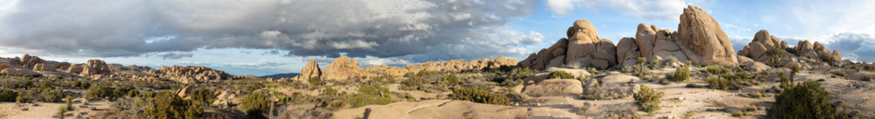 landscape with joshua trees in the desert © travelview