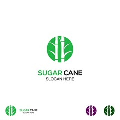 Sugar cane logo design concept, cane sugar logo in circle, template icon