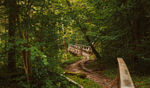 Trail in the woods with wooden gridge over the river
