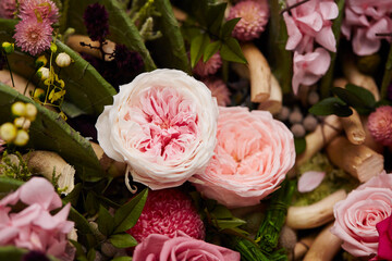 pink roses in a garden