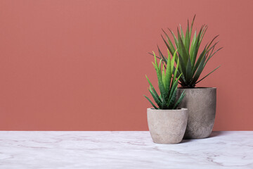Two aloe plants in grey stone pots on a marble surface against a brown wall with copy space with a right side composition
