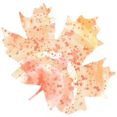 Watercolor vector maple leaf element. Leaf silhouette with tree rings cut background
