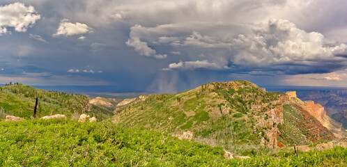 Fototapeta na wymiar Storm at Saddle Mountain Overlook Grand Canyon North Rim AZ