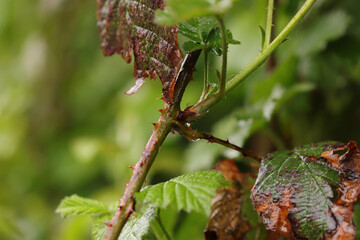 Inclement weather shaping the landscape regardless of mans' efforts