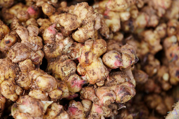 Ginger on display at the market