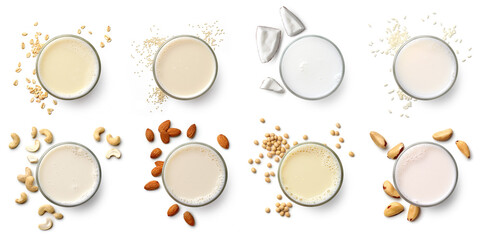 Set of various vegan milk isolated on white background