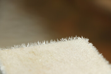 Abstract texture found in the natural world