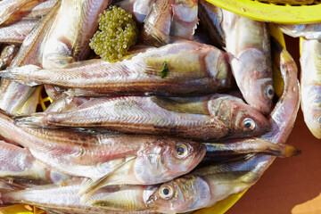 fresh fish on the market