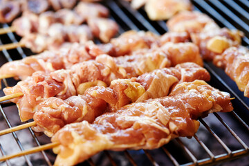 Chicken skewers on the grill 