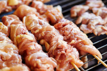 Chicken skewers on the grill 