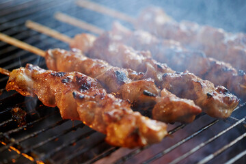 Chicken skewers on the grill 