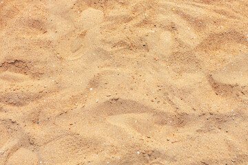 Sand nature texture in summer beach as background