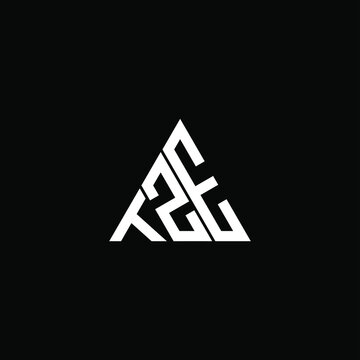 TZE letter logo creative design. TZE unique design
