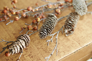 Dried wooden pine cones on an old suitcase