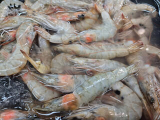 A large number of fresh shrimps gathered together.