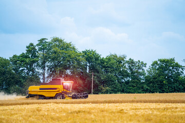 Vertical view of the harvester combine harvesting wheat on agricultural field on sunny summer day....