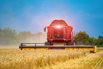 Fototapeta premium Agriculture process in wheat field during the sunny day with blue sky. Heavy technics. Rural landscape. Harvest time