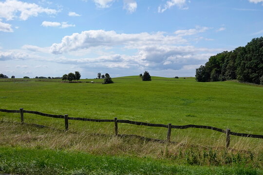 Weideland In Ungarn