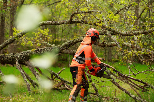 Female lumberjack cutting log in forest