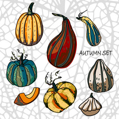 Pattern of colorful autumn pumpkins, cabaret, patison, vegetables.Set of autumn stories on social media. Colorful banners with autumn illustrations. Autumn stickers. Bright postcards. Vector eps 10