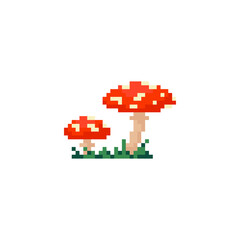 Pixel art amanita mushrooms. Toadstool pixel mushroom for decoration, game, halloween. Red cap mushroom in vintage pixel style. Cute pair of mushrooms.