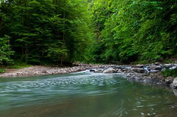 The Wetlinka River flowing through the Sine Wiry Reserve, the Bieszczady Mountains