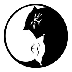 Yin and yang, cats