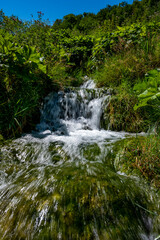 Fototapeta premium Plitvice Lakes, Croatia