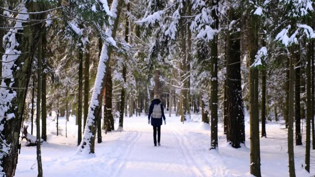female in winter clothes and rucksack walking on rural road surrounded by coniferous forest trees in sunny cold day. blurred picture, the woman is out of focus going into the distance