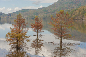 autumn in the mountains