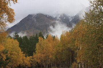 Fog in the mountains in autumn