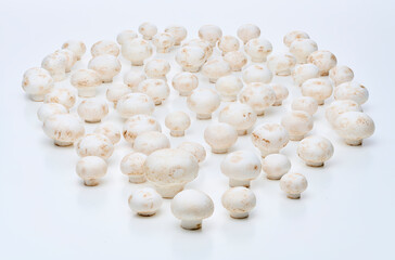 マッシュルーム, キノコ, 茸, 野菜, 食材,