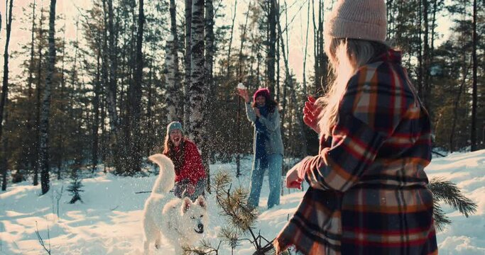 Idyllic cinematic shot, happy diverse friends enjoying fun snowball fight at snowy winter forest with dog slow motion.