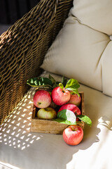rustic apples from the garden with leaves