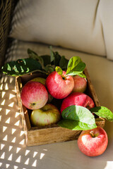 rustic apples from the garden with leaves