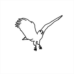 Vector design sketch of a bird in flight