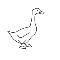 Vector design sketch of a duck animal