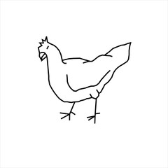 Vector design sketch of a chicken