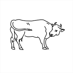 Vector design sketch of a cow looking back