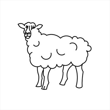 Vector design of a sketch of a sheep