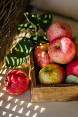 rustic apples from the garden with leaves