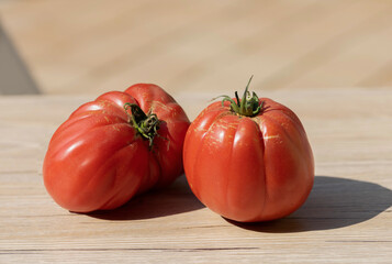 Świeże dojrzałe ekologiczne pomidory