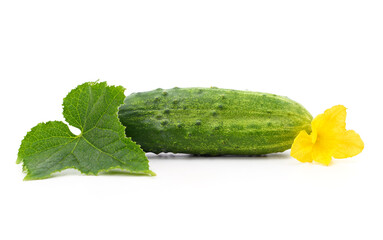 Cucumber with flower.
