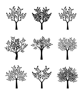 Set of Black Trees. Plants in garden vector.