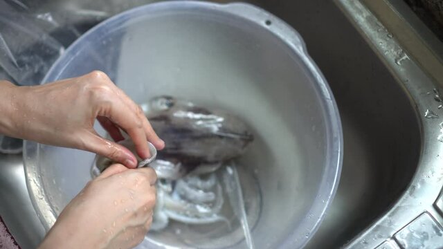 Hand taking squid bone off from body preparing seafood