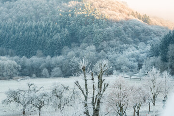 gefrorene Landschaft in blauem Licht